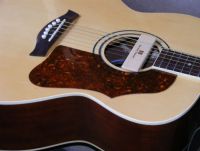custom made Tortie pickguard j200 Guild&nbsp;&copy;&nbsp;2026&nbsp;Guitar Angel